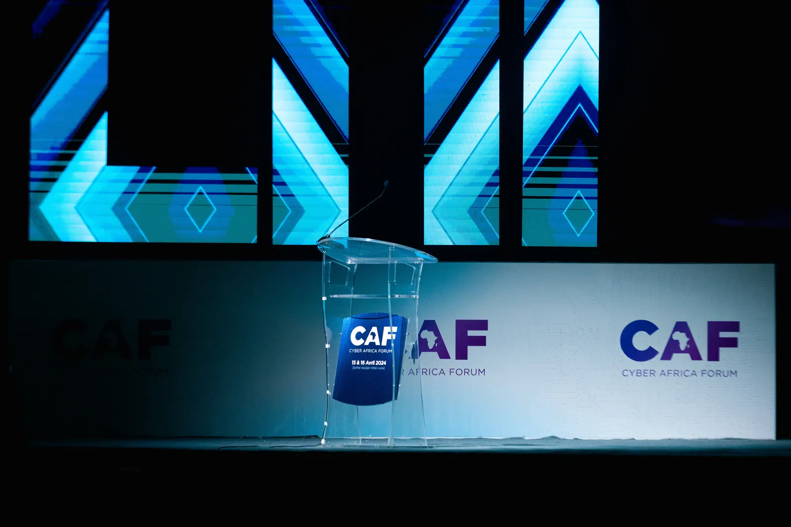 Cyber Africa Forum, photo 2