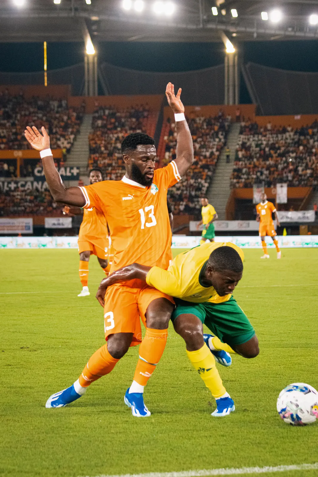 Matchs des Éléphants, photo 4