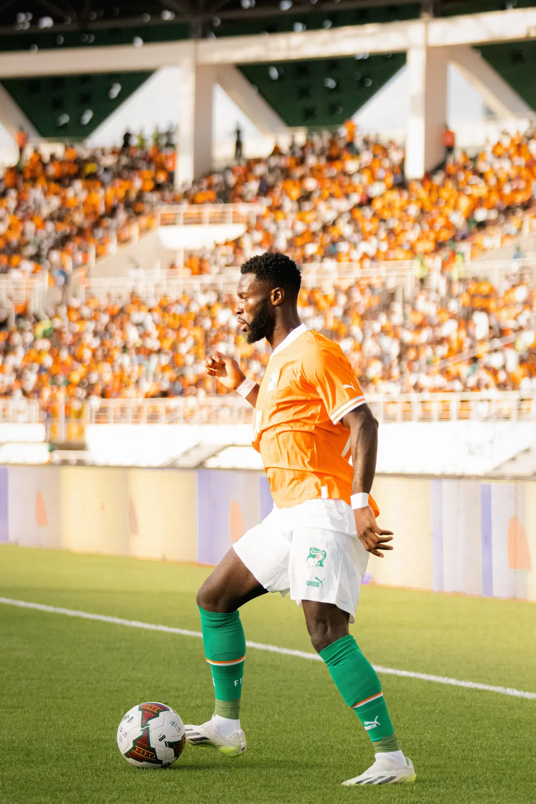 Matchs des Éléphants, photo 8