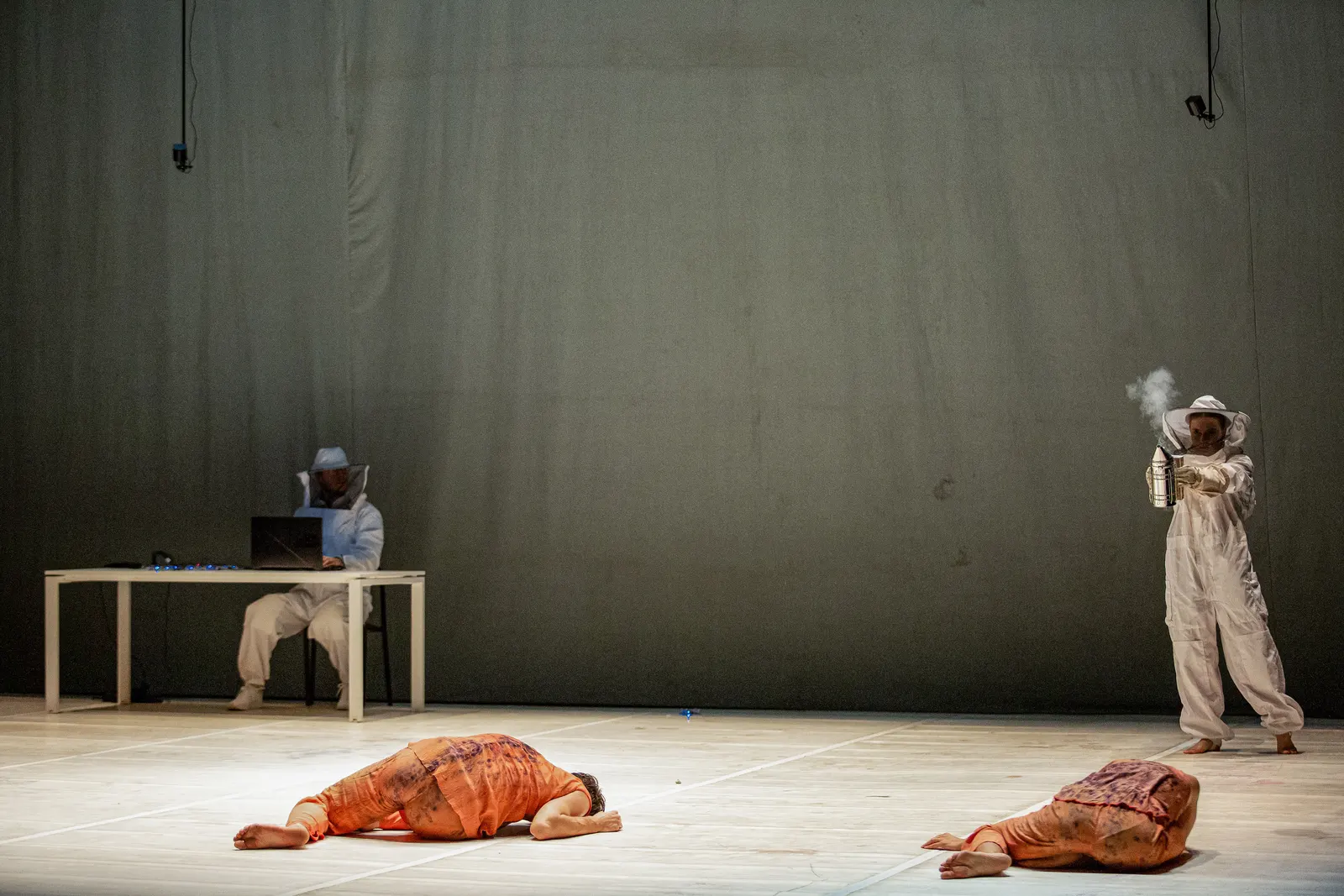 Flying Bodies Across the Fields, photo 8
