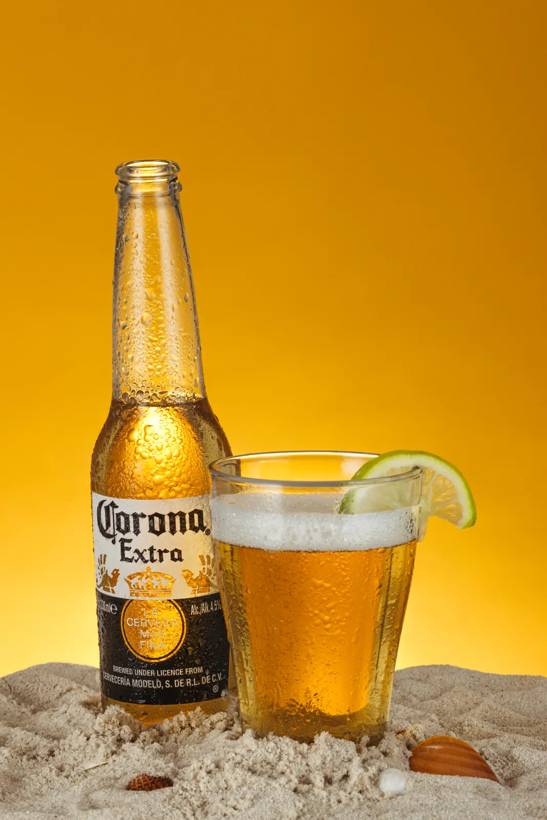 Packshot Corona Extra, photo 2